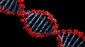 Genetics and Genomics Program | Stanford Online