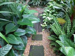 Small Tropical Gardens Balinese Garden