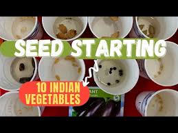 seed starting ii 10 indian vegetables