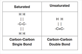 saturated and unsaturated fats