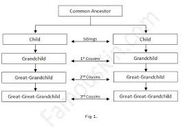 Consanguinity Chart Example Cousins Family History Happy