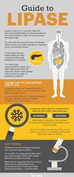 lipase test benefits foods