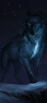 Black wolf, night, art picture ...
