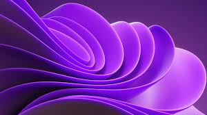 windows 11 365 purple abstract