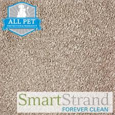 pet proof carpet mohawk exquisite tones