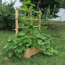 Pdf Raised Garden Bed With