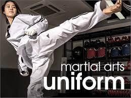 taekwondo karate judo jiu jitsu mma