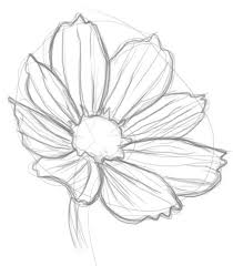 We wanted to make this one so that it's both simple and beautiful, to. Pin By Jj Naill On Watercolor Ideas Flower Sketches Drawings Flower Drawing Tutorials
