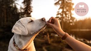 We're not just committed to getting to know our customers and their pets, we're committed to our community too. Natural Pet Shop Natural Dog Treats Their Health Benefits