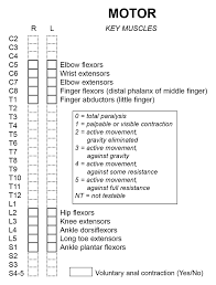 Spinal Cord Injury Levels Classification