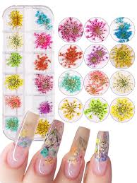 1box multi color dried flowers nail art
