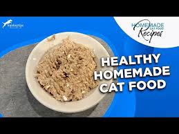 healthy homemade cat food with turkey