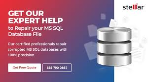 how to re database in sql server