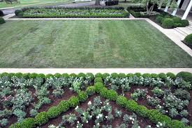 Melania Trump S White House Rose Garden