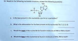 following nucleotide structure