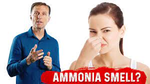 strong ammonia odor in my urine on keto