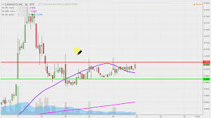 Cannasys Inc Mjtk Stock Chart Technical Analysis For 01 23 17