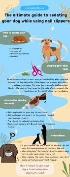 nail clippers sedate your dog using