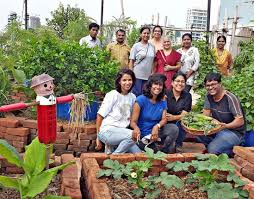 Rooftop Farmers Reap Rich Harvests