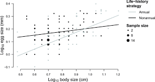 Relationship Between Log 10 Transformed Body Size And Log
