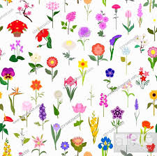 Popular Flowers Seamless Pattern