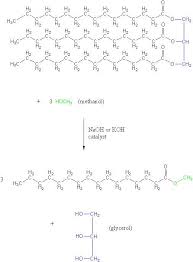 The Chemistry Of Biodiesel Biodiesel
