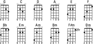 Playing Some Essential Mandolin Chords For Dummies Music