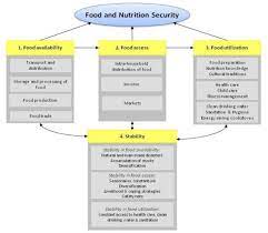 the four dimensions of food security