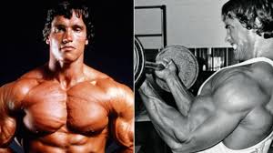 workout routine to become mr olympia