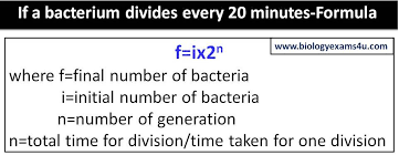 Bacterium Divides Every 20 Minutes Formula