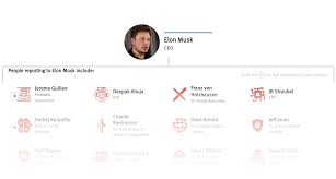 Org Chart Tesla The Information