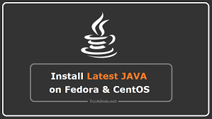 how to install java 20 on fedora