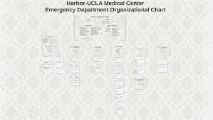 Emergency Department Organizational Chart Harbor Ucla By