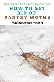 how to get rid of pantry moths food