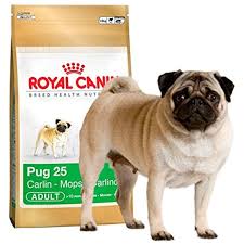 Royal Canin Pug Complete Adult Dry Dog Food 1 5kg You Can