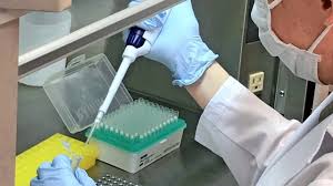 RT PCR Laboratory COVID-19 Antigen Testing for infection - AlcoDigital