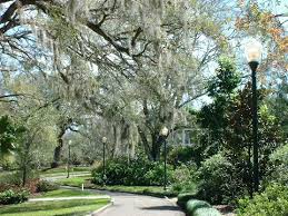 inside orlando harry p leu gardens