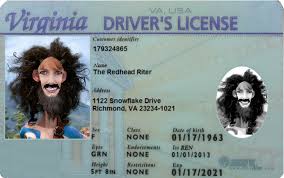 virginia driver s license don t smile