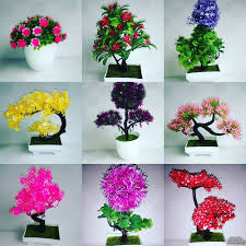 Добави коментар за цветя за здраве и късмет в дома ни. Izkustveni Cvetya Na Edro Aksesoari Za Doma I Gradinata Gr Shumen Izkustveni Cvetya Na E