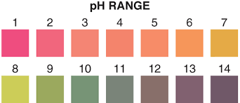 Ph Paper Color Chart