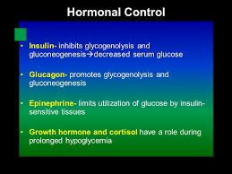 Ketosis is characterized by increased concentrations of ketone bodies in blood (hyperketonemia), hypoglycemia, and low concentrations of hepatic glycogen. Hypoglycemia Hasan Aydin Md Yeditepe University Medical Faculty Ppt Download