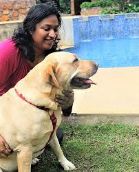 have more bangaloreans adopted dogs