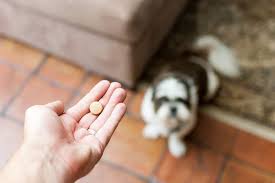 Aspirin For Dogs Step By Step Instructions And Experts Advice
