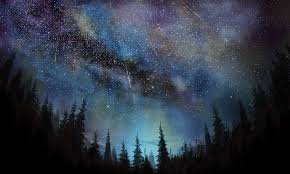 4k meteors night stars sky trees