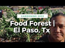 What S Growing In My Garden El Paso
