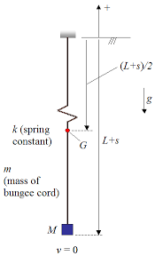 Physics Of Bungee Jumping