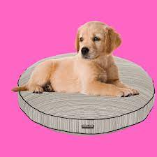 Large dog beds can be cumbersome, however, especially when you need to clean them. Costco Dog Bed Review Are Costco S Dog Beds Good