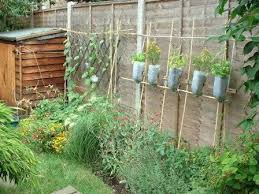 Vertical Gardening Using Trellises