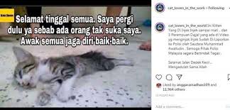 Video viral gunung rowo bergoyang ragil rr channel, 19/01/2021. Viral Video Anak Kucing Mati Diinjak Injak Pelaku Netizen Mengutuk