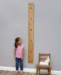 Ruler Growth Charts Growth Chart
